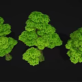 Cartoon Scene Featuring Three Green Leafy Trees With Lush Foliage And Trunk Details 3d model