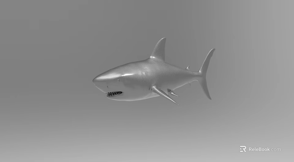 Silver Shark 3D Model with Realistic Details Floating in Gray Background 3d model