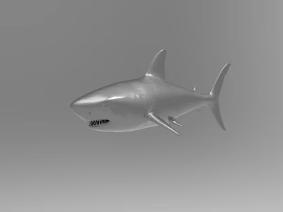 Silver Shark 3D Model with Realistic Details Floating in Gray Background 3d model