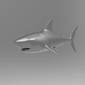 Silver Shark 3D Model with Realistic Details Floating in Gray Background 3d model