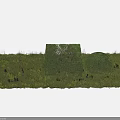 Well Shaped Garden Shrubs In Lush Green Grass Area With Natural Greenery