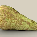 pear scan pear big duck pear fruit 3d model