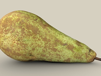 pear scan pear big duck pear fruit 3d model