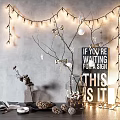 Decorative String Lights with Branches White Balls and Sign for Indoor Warm Ambiance