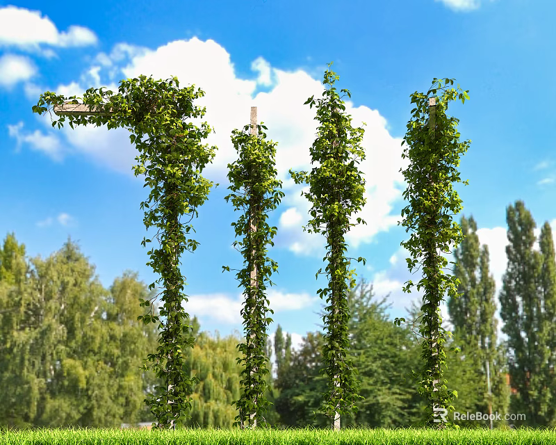 Lush Green Vines Climbing Up Poles Against Blue Sky With White Clouds And Trees 3d model 