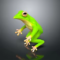 Realistic Vibrant Green Frog With Large Eyes In Sitting Pose On Black Surface