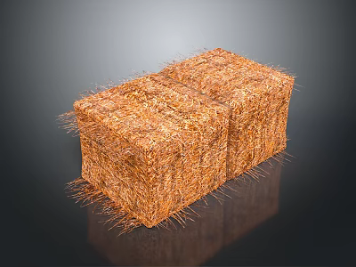 Natural Rural Landscape With Two Hay Bales Standing On Green Pasture Under Clear Sky 3d model