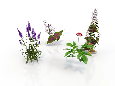 Various Green Plants with Purple White and Red Flowers and Fresh Leaves 3d model