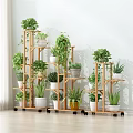 Wooden Multi Tier Plant Stands With Indoor Green Plants And Decorative Pots On Wheels