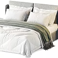 Modern Minimalist Double Bed With White Quilt Green Blanket And Nightstand