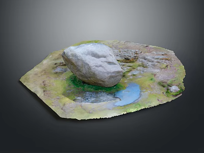 Natural Wood and Stone Decorative Landscape With Small Pond and Green Moss Elements 3d model