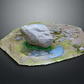 Natural Wood and Stone Decorative Landscape With Small Pond and Green Moss Elements