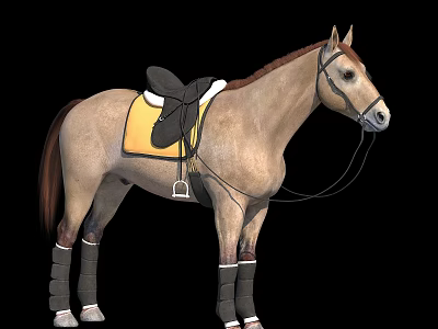 Light Brown Horse With Yellow Saddle Pad Black Saddle And Gray Leg Wraps 3d model