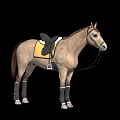 Light Brown Horse With Yellow Saddle Pad Black Saddle And Gray Leg Wraps