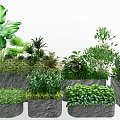 Various Bonsai Potted Plants With Lush Green Foliage And Stone Planters