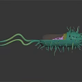 Green Organ Structure With Hair Like Projections And Detailed Golden Core
