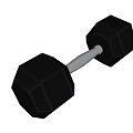 Modern dumbbell gym activity dumbbell fixed dumbbell dip dumbbell coated dumbbell electroplated dumbbell paint dumbbell fitness equipment sports equipment 3d model
