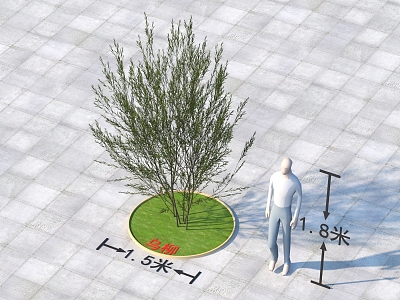 Salix plants 492018 3d model