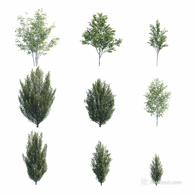 Diverse Green Leafy Trees with Various Shapes Isolated on White Background 3d model