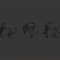 Black Textured Sculptural Scene Components In Various Sizes And Shapes