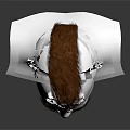 Realistic 3D Human Head Model Featuring Detailed Facial Features Brown Mohawk Hairstyle And Beard