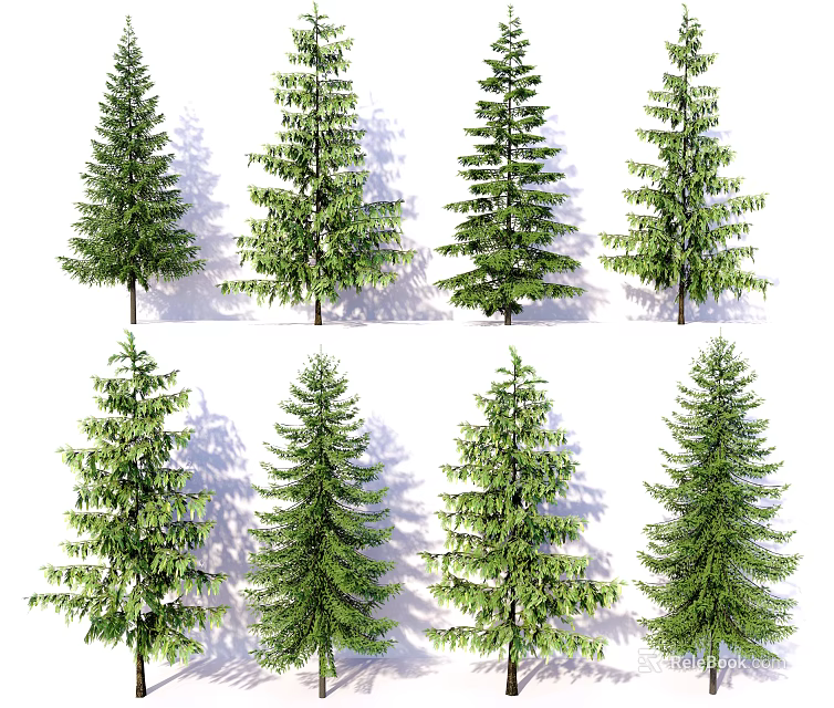 Various Arbor Trees With Green Foliage And Different Species In Garden 3d model 