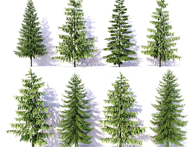 Various Arbor Trees With Green Foliage And Different Species In Garden 3d model