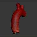 Organ System Red Tubular Structure 3D Rendered Model on Dark Background 3d model