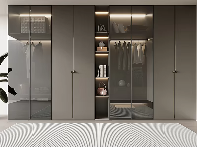 Modern Wardrobe Design With Glass Doors LED Lighting Hanging Rods And Storage Shelves 3d model