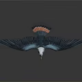 Bird With Spread Black Wings White Body Yellow Beak And Orange Feet