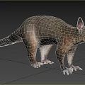 Gray Reptile With Long Tail Pointed Ears In Natural Grassland Woodland Habitat