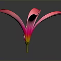 Vibrant Pink Flowers Featuring Blooming and Budding Blooms on Dark Background with Reflections