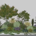 Trees as Main Plants in Garden with Mixed Shrubs Flowers and Greenery