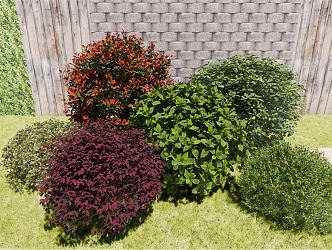 Modern Shrub Ball Phnom Penh Populus Safflower Jimu Haitong Photinia nilote Tongue Populus Landscape Scenery 3d model