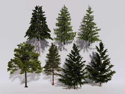 Various Types of Evergreen and Deciduous Trees with Natural Green Foliage 3d model