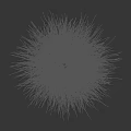 Light Brown And White Fluffy Grass In Black Background With Ruler Lines On The Right