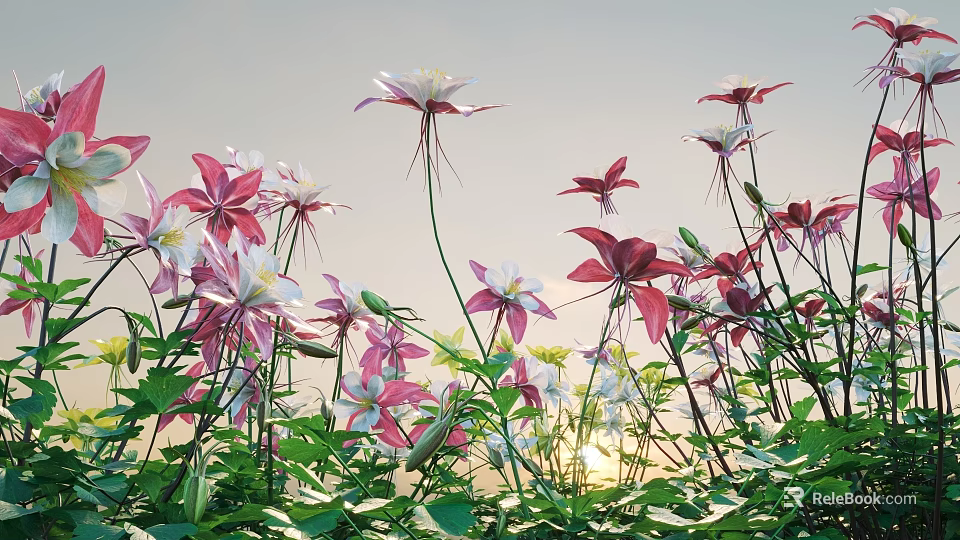 Blooming Pink And White Flowers With Lush Green Leaves In Natural Garden Setting 3d model 