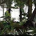 Park Landscape With Tall Trees Lush Green Vegetation Hanging Vines And Natural Plant Shadows