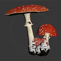 Red White Spotted Vegetable Mushrooms with Different Sizes on Dark Background 3d model