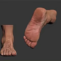 Man's Foot Anatomical Structure Showing Detailed Ankle And Toe Features On Black Surface