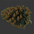 Close Up View Of Brown And Orange Pine Cone With Scaly Texture On Gray Background 3d model