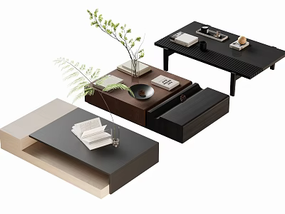 Modern Coffee Table Designs With Wooden Black Beige Finishes Drawers Storage And Decorative Plants Books 3d model