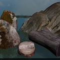 Natural Outdoor Scenery With Mossy Stones And Wooden Trunk Stump Near Water Grass