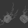 Minimalist White Ceramic Vases With Dried Plants And Decorative Branches