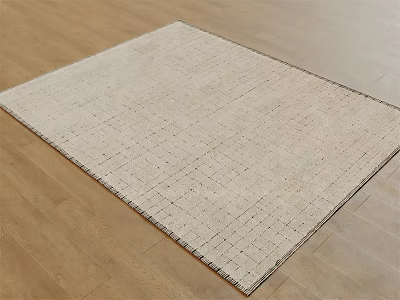 Modern Light Beige Square Rug With Grid Pattern Textured Surface On Wooden Floor 3d model