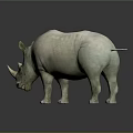 Detailed Rhinoceros Sculpture Display With Dark Background And Reflection