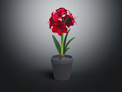Red Flower Garden Decor with Green Leaves in Gray Pot 3d model