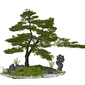Bonsai Pine Tree Decorative Landscape With Rocks Plants And Round Lamp 3d model