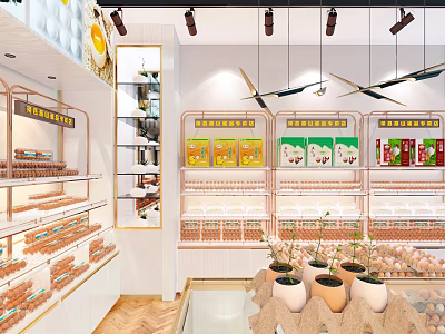 Egg Specialty Store Interior With Shelves Displaying Fresh Egg Products And Decorative Plants 3d model