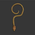 Yellow and brown patterned cobra with raised head and coiled body on black background